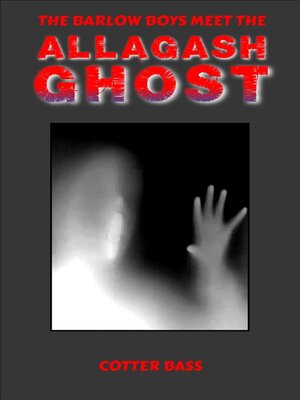 cover image of The Barlow Boys Meet the ALLAGASH GHOST